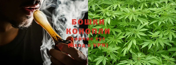 PSILOCYBIN Бородино